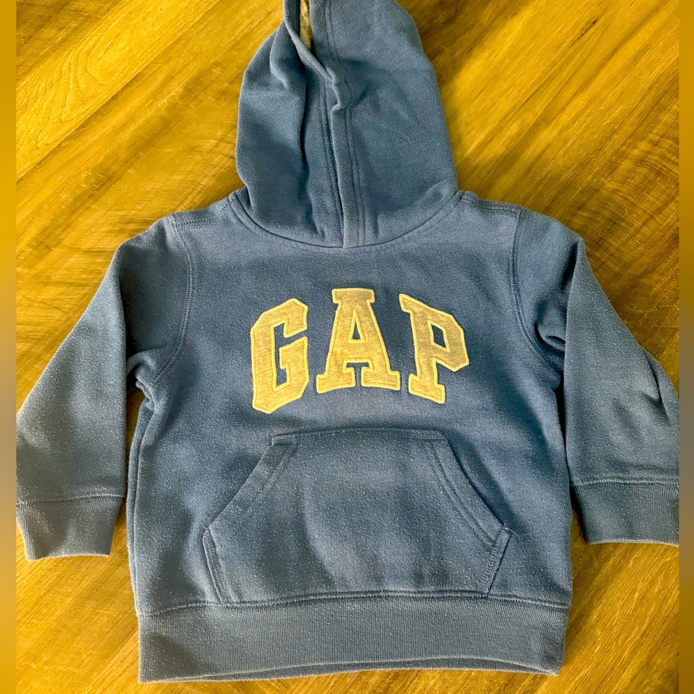 GAP Toddler Hoodie